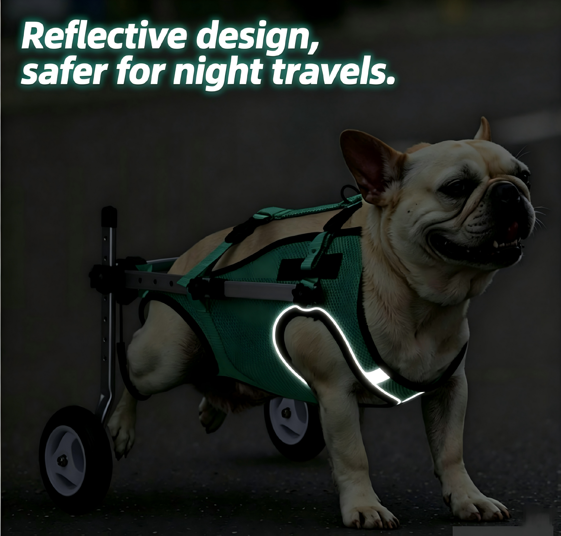 SDPT01 dog wheelchair with reflective design for safer night walks, worn by a French Bulldog.