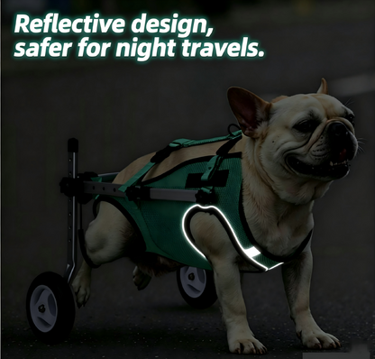 SDPT01 dog wheelchair with reflective design for safer night walks, worn by a French Bulldog.