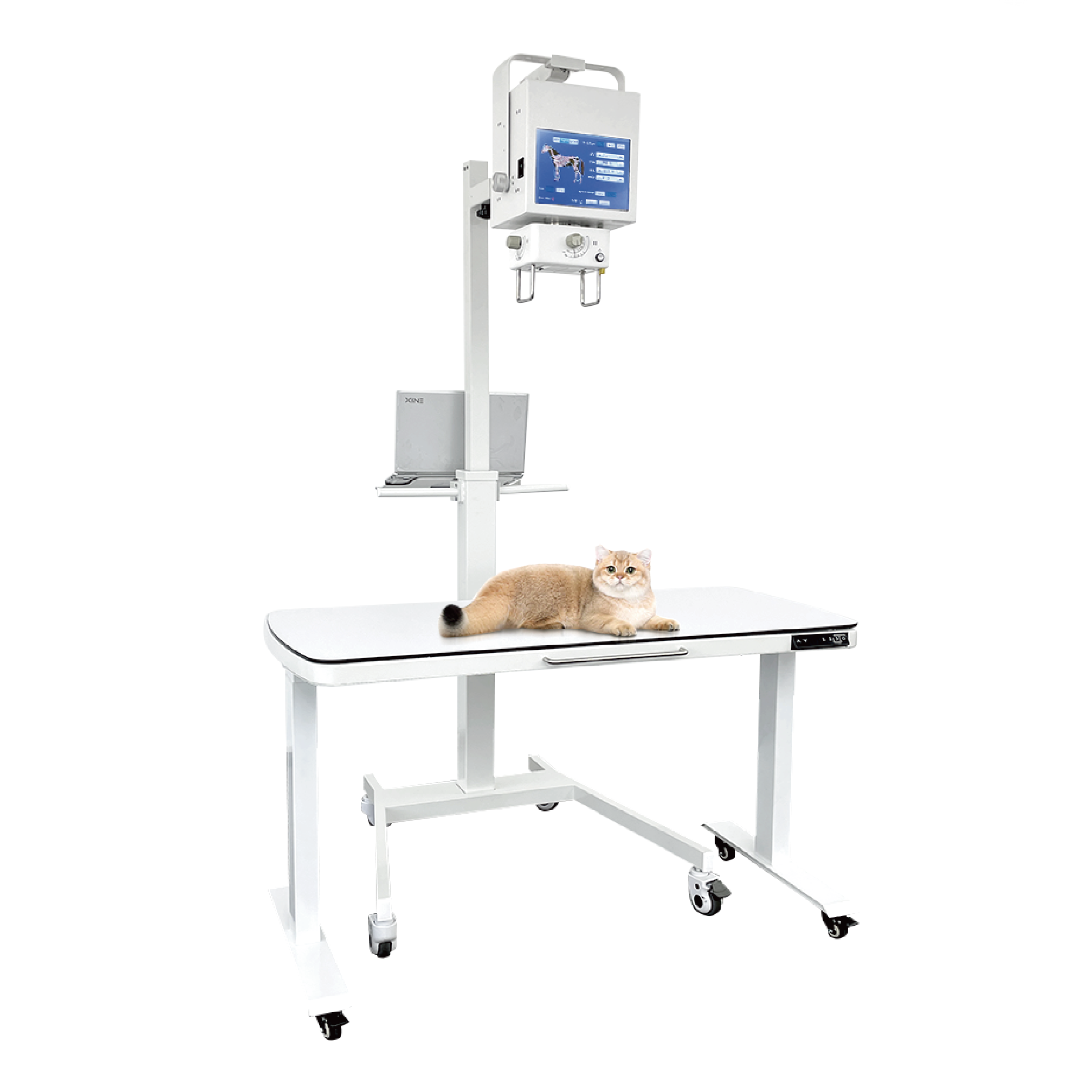 Portable veterinary mobile X-ray machine SDVTBX01.
